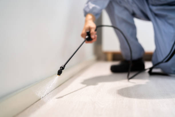 Certified termite inspector examining foundation in Litchfield